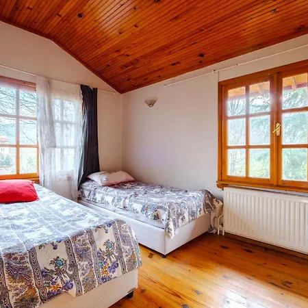Dreamy Duplex With Huge Garden In Kocaeli 4* ازميت