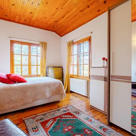 Dreamy Duplex With Huge Garden In Kocaeli 4*